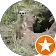 DAVID B. profile picture